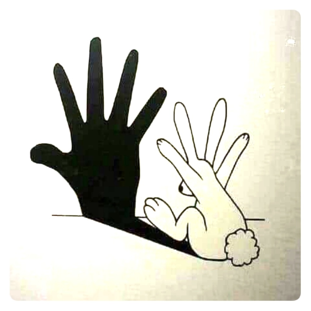 Meet your Posher, Meridith